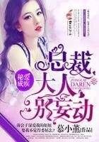 秘愛成疾,總裁大人別妄動