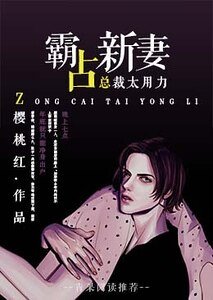 《霸占新妻:总裁大人太用力》