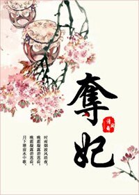 《奪妃》