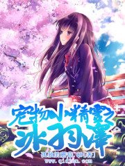 《(寵物小精靈同人)寵物小精靈之冰羽澤》