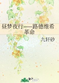 昼梦夜行——路德维希革命