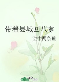《帶著縣城回八零》