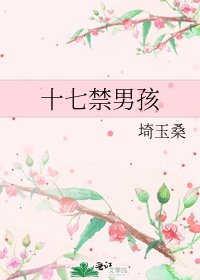 《十七禁男孩》