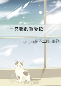 一隻貓的追妻記