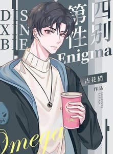第四性別Enigma