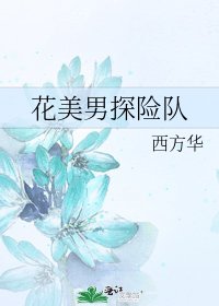 《花美男探險隊》