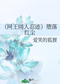 (网王同人忍迹)堕落红尘