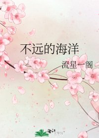 不远的海洋
