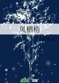 《凤栖梧》