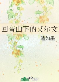 回音山下的艾尔文