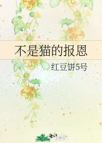 《不是貓的報恩》