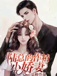 陸總的作精小嬌妻