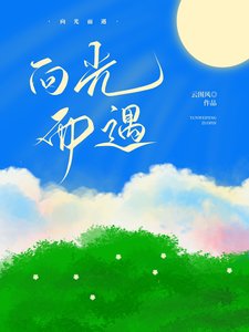 向光而遇
