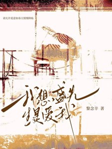 我想,盛先生爱我