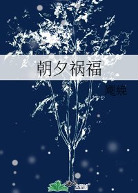 《朝夕禍福》