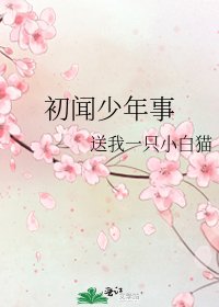 《初闻少年事》
