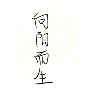 向阳而生