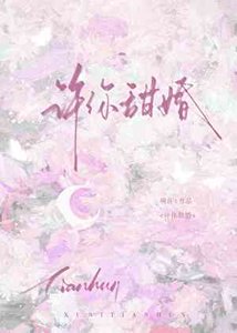 《許你甜婚》