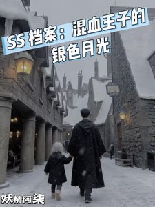 SS檔案:混血王子的銀色月光